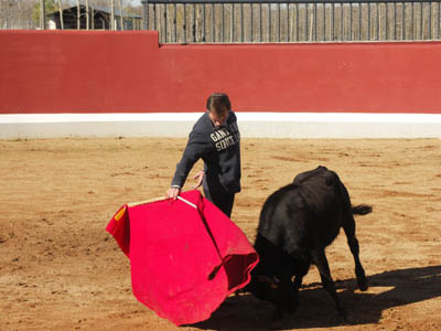 Derechazo de Manolo Sánchez a una vaca de "Coquilla de Sánchez-Arjona"